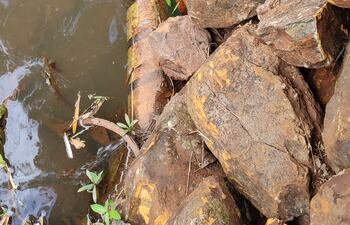 Margen derecha del arroyo Capi’ibary, un caño subterráneo ingresa al curso hídrico, y desde el mismo sale un líquido de color verdoso.