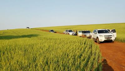 Autoridades policiales y fiscales en el sitio donde encontraron el cadáver.