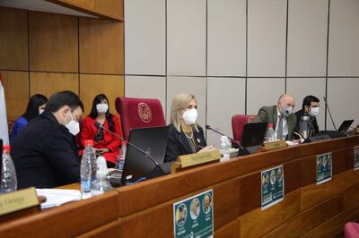 La senadora Hermelinda Alvarenga (PLRA), vicepresidenta segunda presidió parte de la sesión del Senado de ayer.