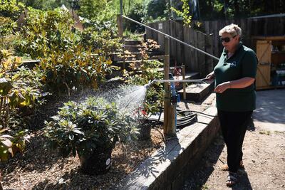 Con un gesto hacia su pradera de flores silvestres y su arboleda todavía verde en este rincón reseco del condado de Kent, en el sureste de Inglaterra, Claire Price defiende que los jardineros deben adaptarse a la evolución del clima.