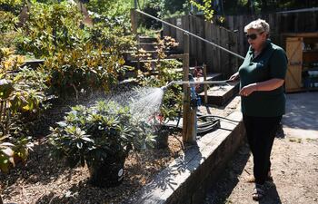 Con un gesto hacia su pradera de flores silvestres y su arboleda todavía verde en este rincón reseco del condado de Kent, en el sureste de Inglaterra, Claire Price defiende que los jardineros deben adaptarse a la evolución del clima.