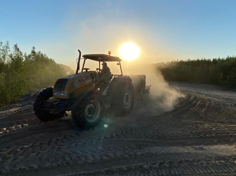.Las tareas de limpieza se llevan a cabo sin tregua. El objetivo es culminar los trabajos antes del período de lluvias, cuyo inicio se tiene a mediados de diciembre.