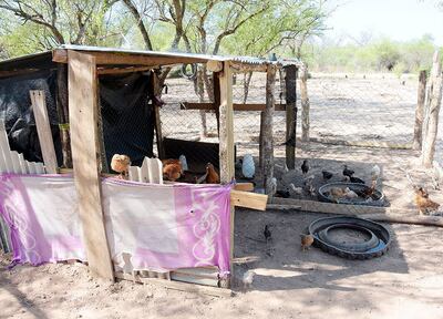 La comunidad trabaja duro para mantenerse dentro de  su tierra.
