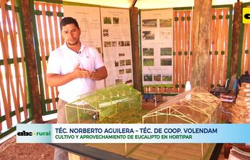 ABC RURAL: Cultivo y aprovechamiento de Eucalipto en Hortipar