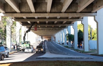 Pintan vigas y pilares del Corredor Vial Botánico.