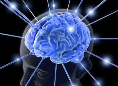 El cerebro tiene una estructura anatómica, una membrana hasta ahora desconocida, que actuaría como barrera protectora y como plataforma desde la que las células inmunitarias lo vigilan en busca de infecciones e inflamaciones.