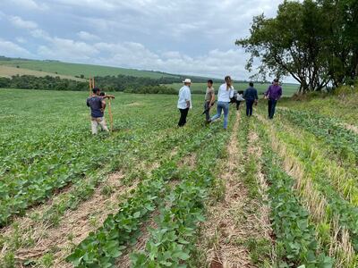 En Itapúa buscan arrebatar a la familia Miguelin de 280 hectáreas, cultivadas con granos.