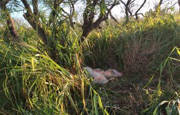 La víctima halló restos de su animal a unos 5 kilómetros de su establecimiento.