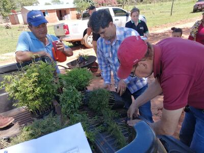 Momento de la entrega de los plantines de arboles que serán destinadas para protección contra vientos.