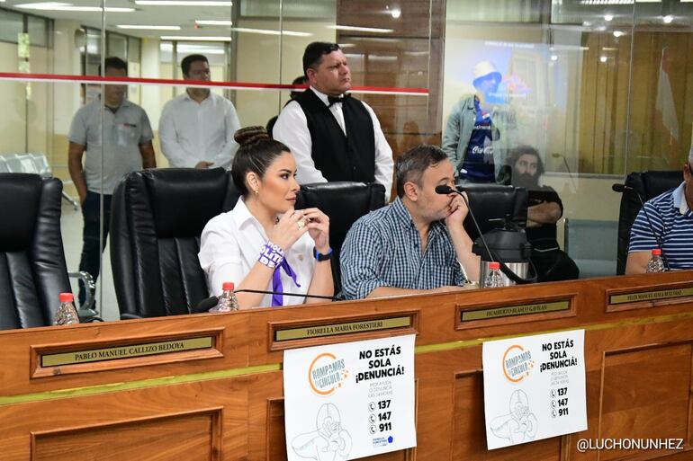 La concejala Fiorella Forestieri (PLRA) vistió pañoleta violeta en sesión, en alusión al mes contra la violencia hacia la mujer.