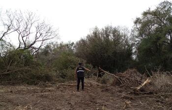 Unos 1500 metros lineal en las inmediaciones del arroyo Mbaey fue removido