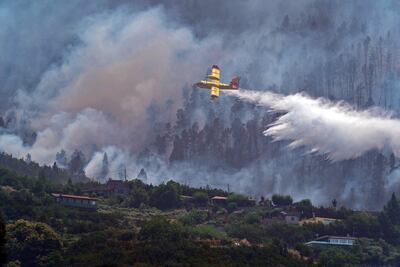 El operativo que lucha contra el incendio forestal que comenzó el jueves en Tenerife ha decidido la evacuación preventiva de medio centenar de viviendas, unas 40 en la zona de Las Llanadas y unas siete en el barrio de La Florida.