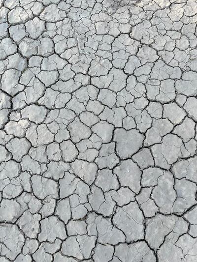 Suelo del Chaco, con profundas grietas a causa de la intensa sequía.