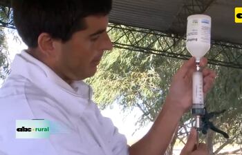 ABC RURAL: Uruguay seguirá vacunando contra fiebre aftosa