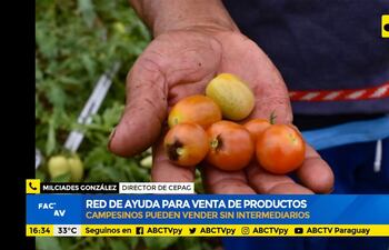 Red que ayuda para venta de productos