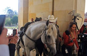 La semana pasada, el presidente del Congreso, el oficialista Roy Barreras, anunció con un perro sentado en su regazo que el recinto sería en adelante “pet-friendly” (abierto a las mascotas). Días después un senador colombiano ingresó a caballo a la sede del Congreso.