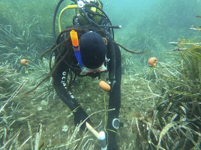 La implementación de soluciones basadas en la naturaleza (NBS, por sus siglas en inglés) para mitigar el calentamiento global debe incluirse en todas las etapas de la educación formal, coincidieron expertos climáticos de Latinoamérica durante el evento World Water Week 2022.