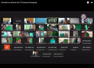 Votación del proyecto de ley.