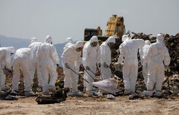 Investigadores buscan restos de la modelo e influencer Abby Choi en un vertedero en Hong Kong, el pasado martes.