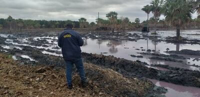 Fiscalizadores del Mades se constituyeron en la empresa procesadora del cuero y levantaron evidencias.