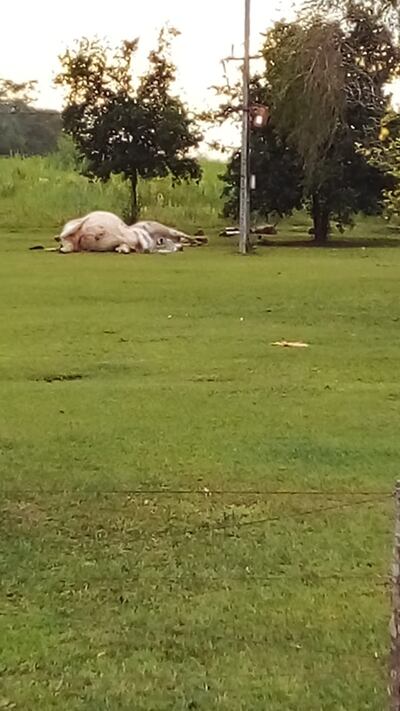 /pf/resources/images/abc-placeholder.png?d=2395