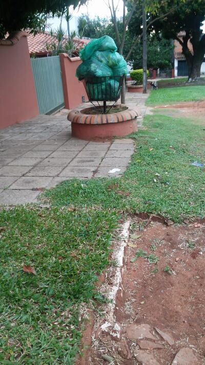 Basura sin recoger hace días