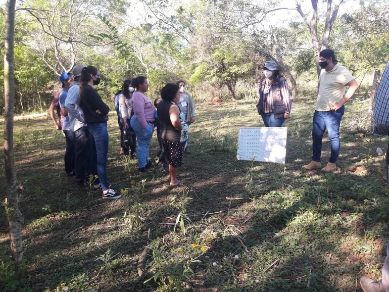 Productores reciben instrucciones previo al cultivo de la Yerba Mate