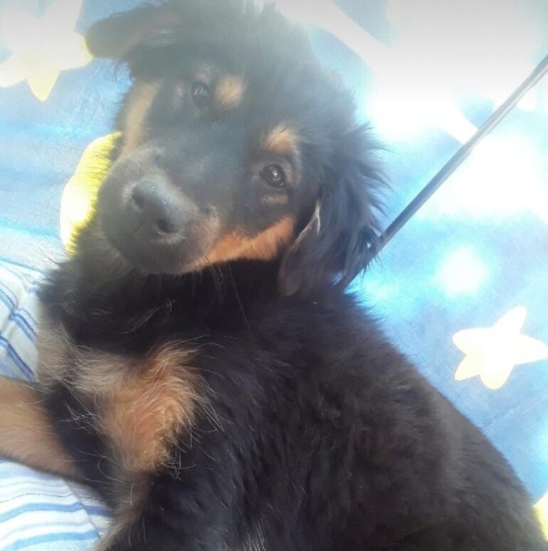 /pf/resources/images/abc-placeholder.png?d=2419