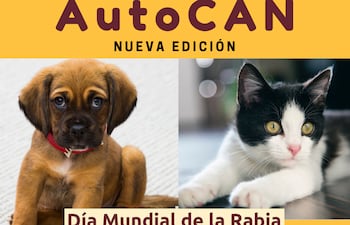 Las mascotas deben acudir con la correa puesta.