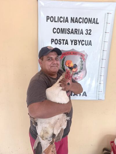 El pato, ya en brazos de su dueño