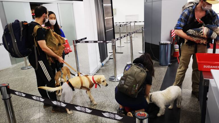 se permiten perros en el centro comercial de aviación