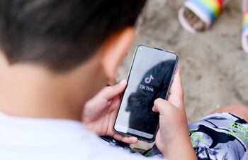 El reputado experto en seguridad estadounidense Bruce Schneier cree que estos planes de prohibición son "una idea espantosa". "Los efectos secundarios serían insoportables", escribió Schneier en su blog, argumentando que, al final, todas las opciones efectivas (para prohibir TikTok) destruirían la Internet libre tal y como la conocemos.