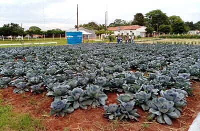Los productores hortícolas tendrán la oportunidad de ver toda la tecnología del sector en la próxima Expo Hortipar.