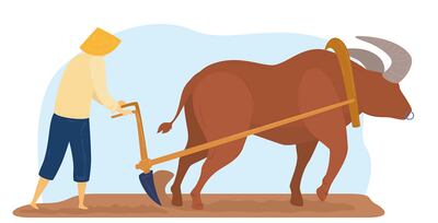 Producción agropecuaria y desarrollo sostenible