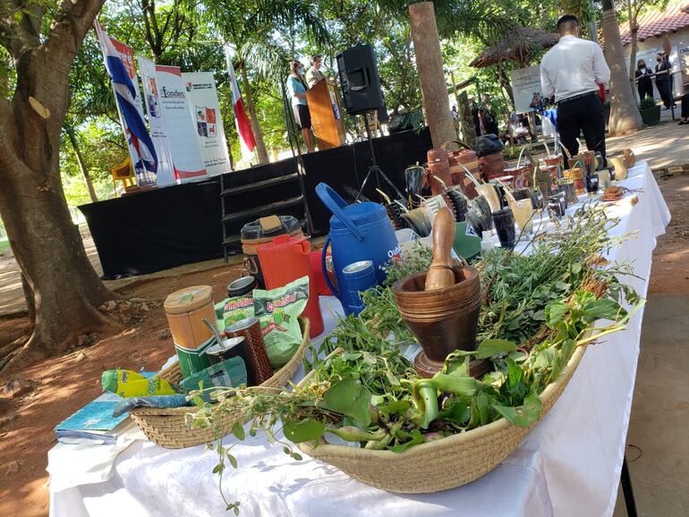 El motivo principal del encuentro fue el Día Nacional del Tereré, en la ocasión se prepararon varias mesas llenas de remedios refrescantes y yerbas mates de distintas marcas nacionales.