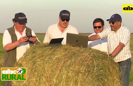 Abc Rural: Proceso de enfardado de acevén y sus ventajas