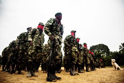 El ELN, en armas desde 1964, reanudará su actividad guerrillera en medio de pandemia en Colombia. Según las FF.AA. colombianas, líderes de este grupo están protegidos por el régimen venezolano.
