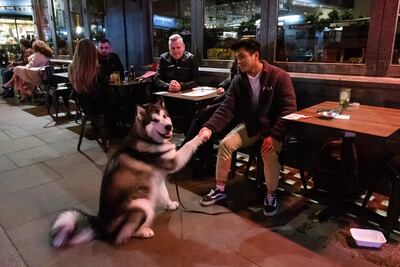El cerebro de los perros puede detectar el habla y mostrar diferentes patrones de actividad ante un idioma conocido y otro desconocido, según un estudio que publica hoy NeuroImage.