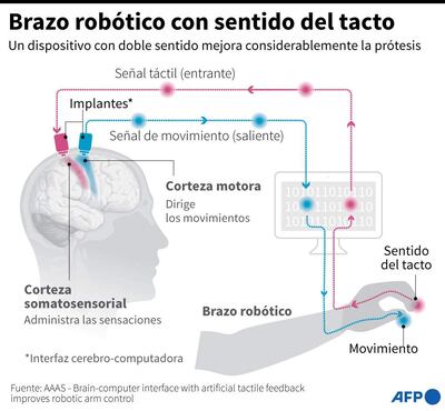Ilustración de una prótesis de brazo destinada a personas paralíticas, con un sistema que le permite al cerebro controlar los movimientos y recibir la sensación del tacto.