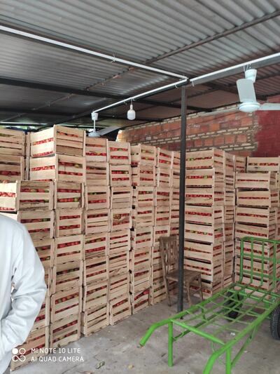 Las cajas de tomate estaban apiladas en una vivienda cuyos propietarios aún no fueron identificados.