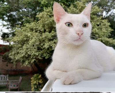 /pf/resources/images/abc-placeholder.png?d=2394