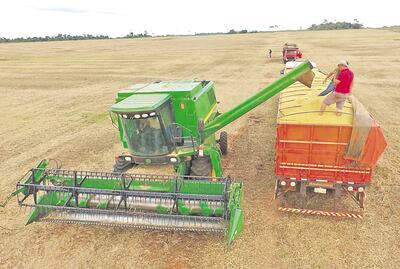 Commodities agrícolas:  Perspectiva ante escenario de alta demanda