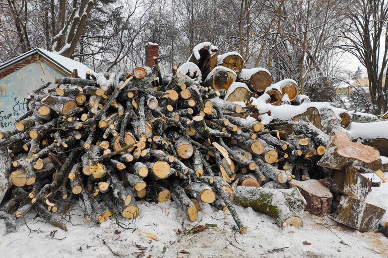 Con la infraestructura energética dañada por los ataques de misiles y drones rusos ante la llegada inminente del invierno, cada vez más ucranianos dependen de la leña para calentar sus hogares. 