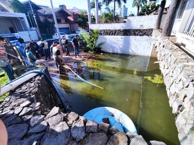 Residencia abandonada en el barrio San Jorge. Ante la denuncia de los vecinos, de que el lugar estaba infestado de mosquitos, la Municipalidad de Asunción intervino.