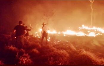 En varios municipios de Concepción se registras importantes focos de incendio.