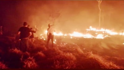 En varios municipios de Concepción se registras importantes focos de incendio.