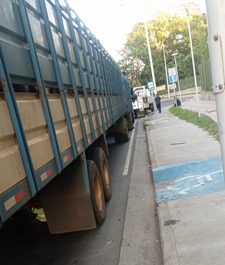 Camión descompuesto generó un gran embotellamiento en zona Botánico