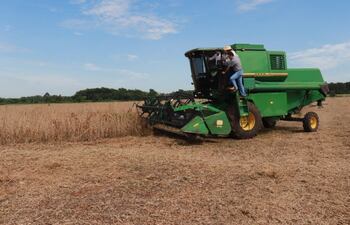 La cosecha de soja en la campaña 2019/2020 fue de unas 10.680.000 toneladas sobre unas 3.600.000 hectáreas