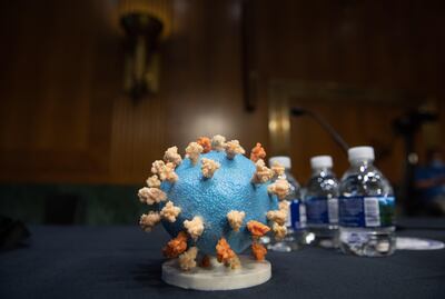 Detalle de una maqueta del coronavirus covi-19 antes de una reunión del Subcomité de Apropiaciones para debatir la posibilidad de producir una vacuna,   en el Senado estadounidense.