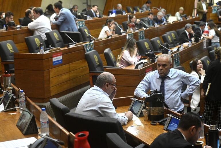 Plenaria de la Cámara de Diputados.
